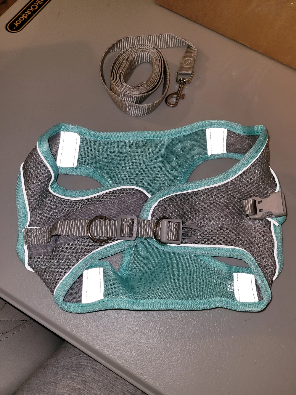 Escape Proof Large Pet Harness Leash Set | Pet Leash | Small Dog Leash | Cat Lea